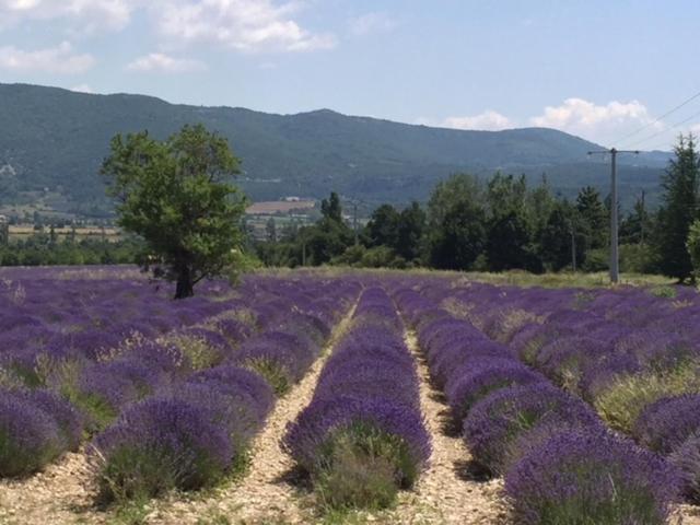 Logis Hotel Du Midi Salon-de-Provence Luaran gambar